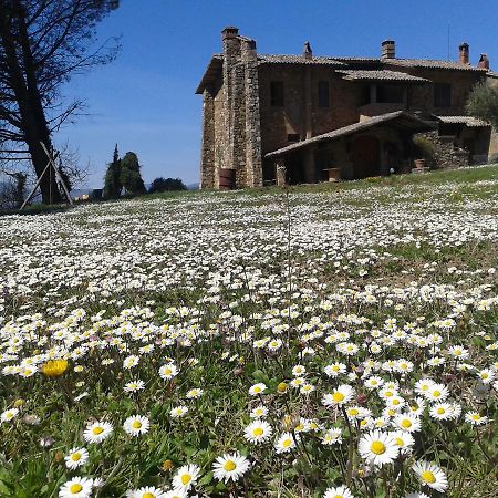 Agriturismo Le Roghete Acquapendente Bagian luar foto