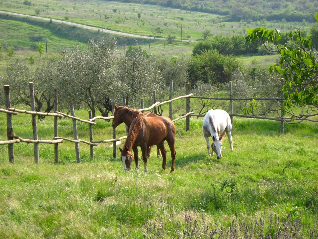 Agriturismo Le Roghete Acquapendente Bagian luar foto
