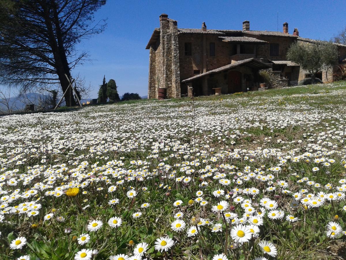 Agriturismo Le Roghete Acquapendente Bagian luar foto